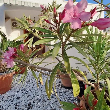 Lorena A Mancaversa Holiday home *